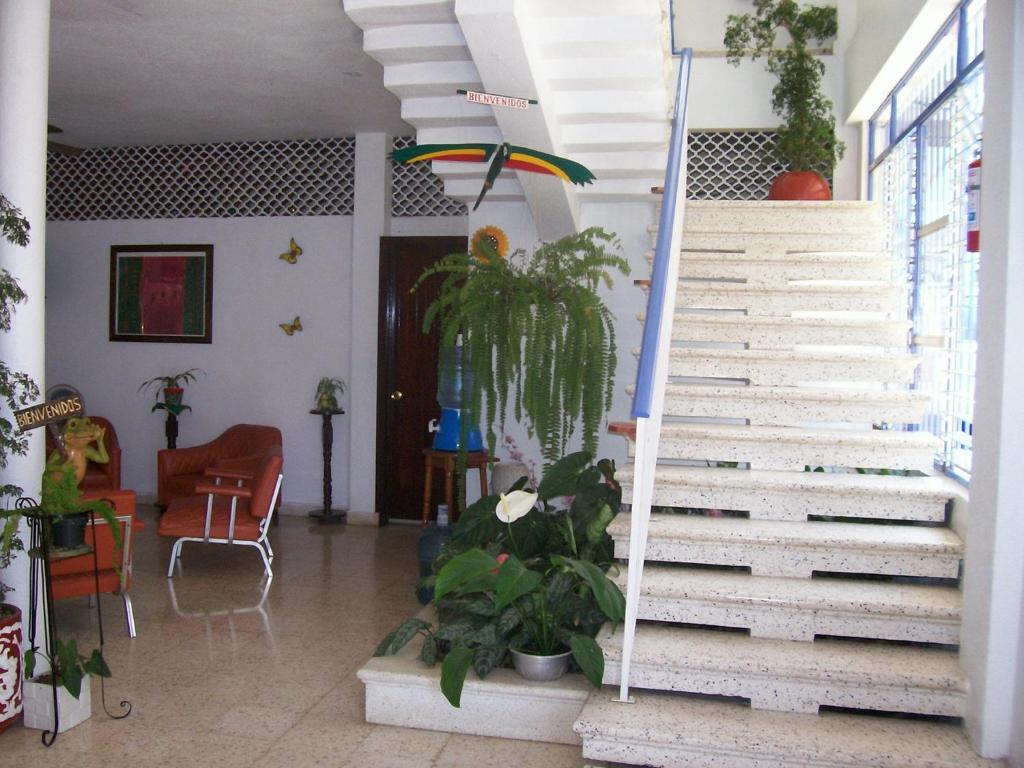 Hotel Acuario กาเตมาโก ภายนอก รูปภาพ