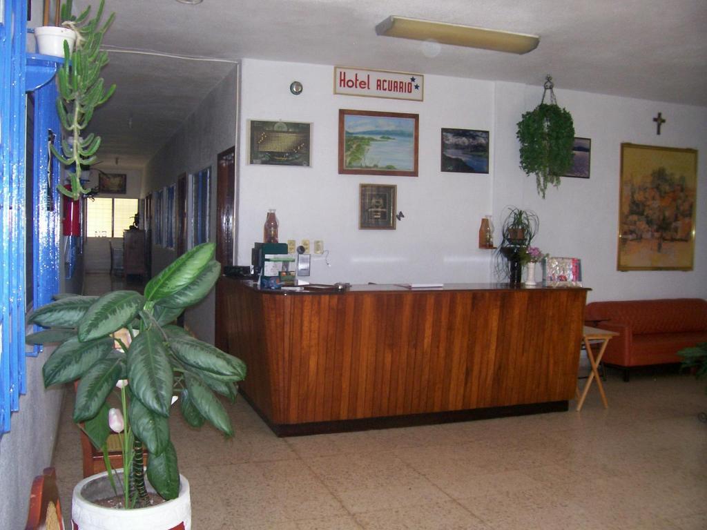 Hotel Acuario กาเตมาโก ภายนอก รูปภาพ