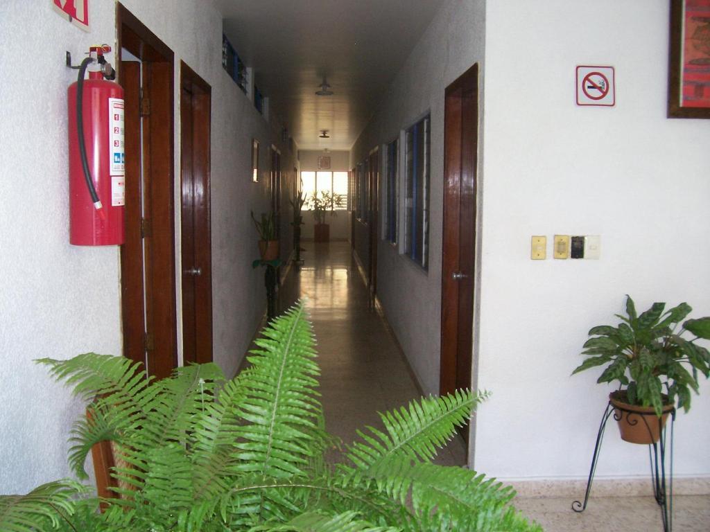 Hotel Acuario กาเตมาโก ภายนอก รูปภาพ